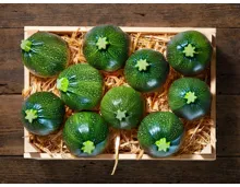 Zucchini rund