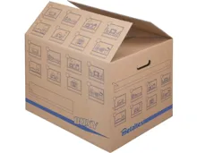 Zügelbox Boxy 5er-Set (2 Stück)