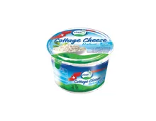 Züger Hüttenkäse Duo