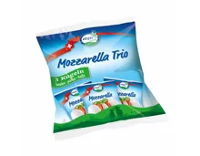 Züger Mozzarella-Kugeln