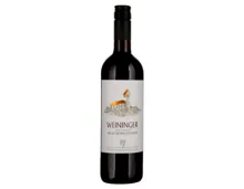 Zürich AOC Blauburgunder Weininger Weinkeller zum Stauffacher (2025) – Rotwein, Schweiz (0.75l)
