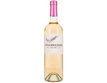 Zürich AOC Réserve Prestige Blauburgunder Federweisser Edition Stauffacher (2025) – Weisswein, Schweiz (0.75l)