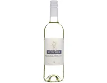 Zürich AOC Riesling-Sylvaner Zürcher Weinkeller zum Stauffacher (2024) – Weisswein, Schweiz (0.75l)