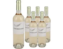 Zürich AOC Stauffacher Federweisser 6x 75cl