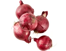 Zwiebeln rot