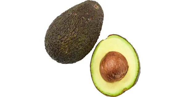 Avocado Essreif Avocado Essreif