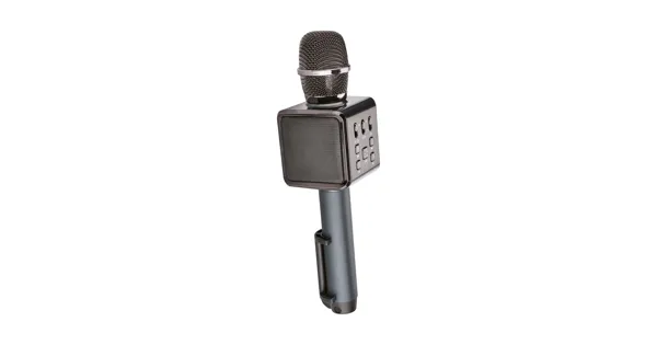 Bluetooth®KaraokeMikrofon LIDL ab 28.12.2023 Aktionis.ch