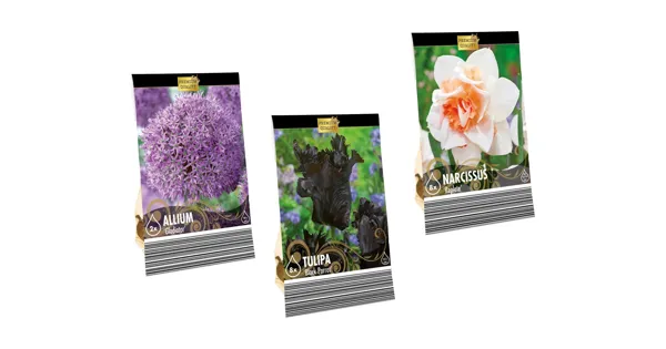 Blumenzwiebeln «Premium» LIDL ab 25.09.2023 Aktionis.ch