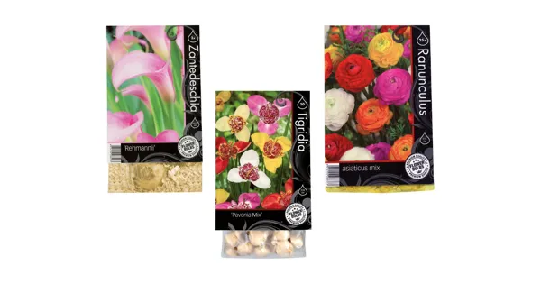 Blumenzwiebeln «Premium» LIDL ab 26.02.2024 Aktionis.ch