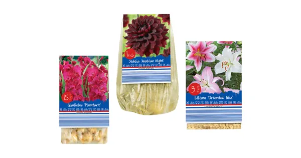 Blumenzwiebeln «Standard» LIDL ab 27.02.2023 Aktionis.ch