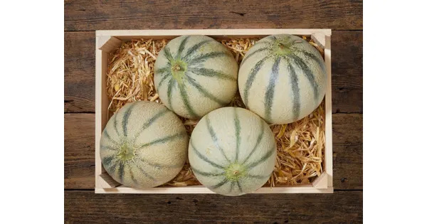 Cantaloupemelonen 32 Rabatt LIDL ab 21.08.2023 Aktionis.ch