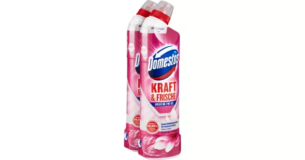 Domestos Kraft Frische WC Gel Floral Fresh Denner Ab 28 11 2023