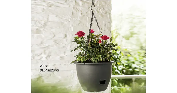 blumenampel mit wasserspeicher obi