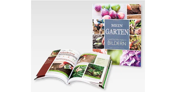Gärtnern nach Bildern ALDI Suisse ab 07.03.2016 Aktionis.ch