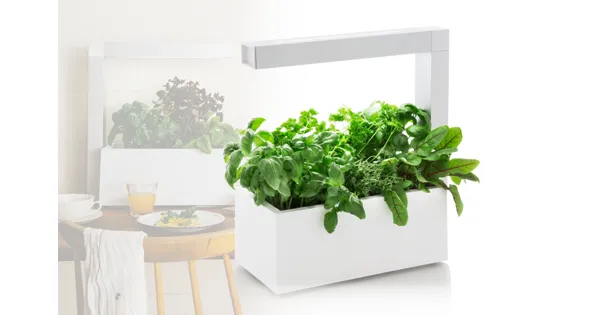 Indoor-Gewächshaus - 36% Rabatt - daydeal.ch - ab 05.04.2016 - Deal.ch