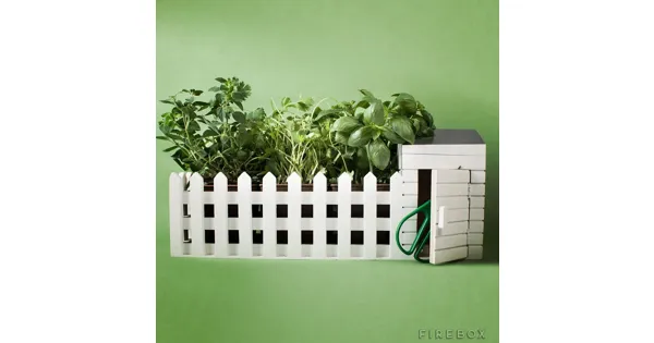 Wettbewerb: Indoor Mini Kräutergarten (Kräuter selber pflanzen) - - ab