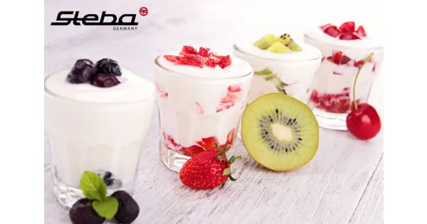 Steba JoghurtMaker 45 Rabatt DeinDeal ab 14.05.2015 Deal.ch